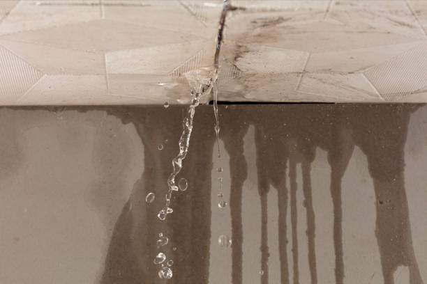 Professional Structural Drying technician working in Round Mountain, TX